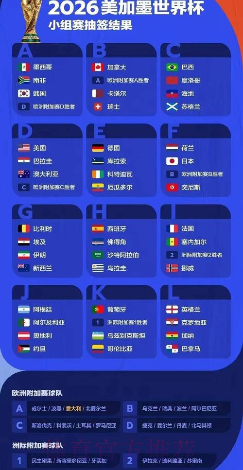 深入解读世界杯赛事分析